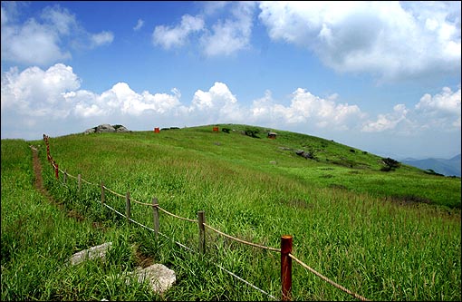 천성산 정상에 넓게 펼쳐져있는 화엄벌, 울타리 안쪽이 습지보호구역이다 .
 